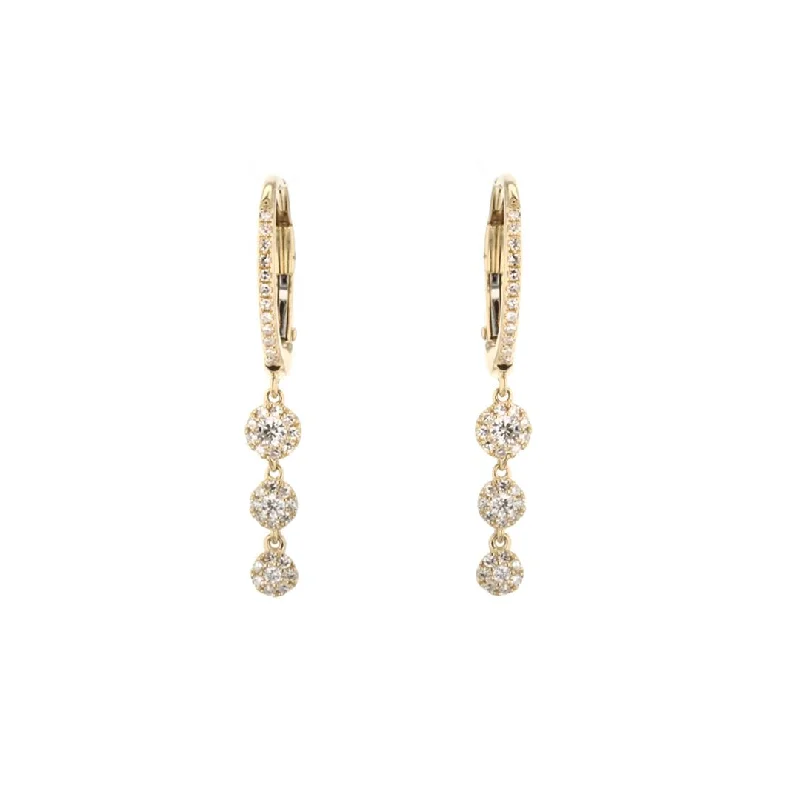 Women’s two-tone earrings-0.32 ctw Diamond Drop Earrings