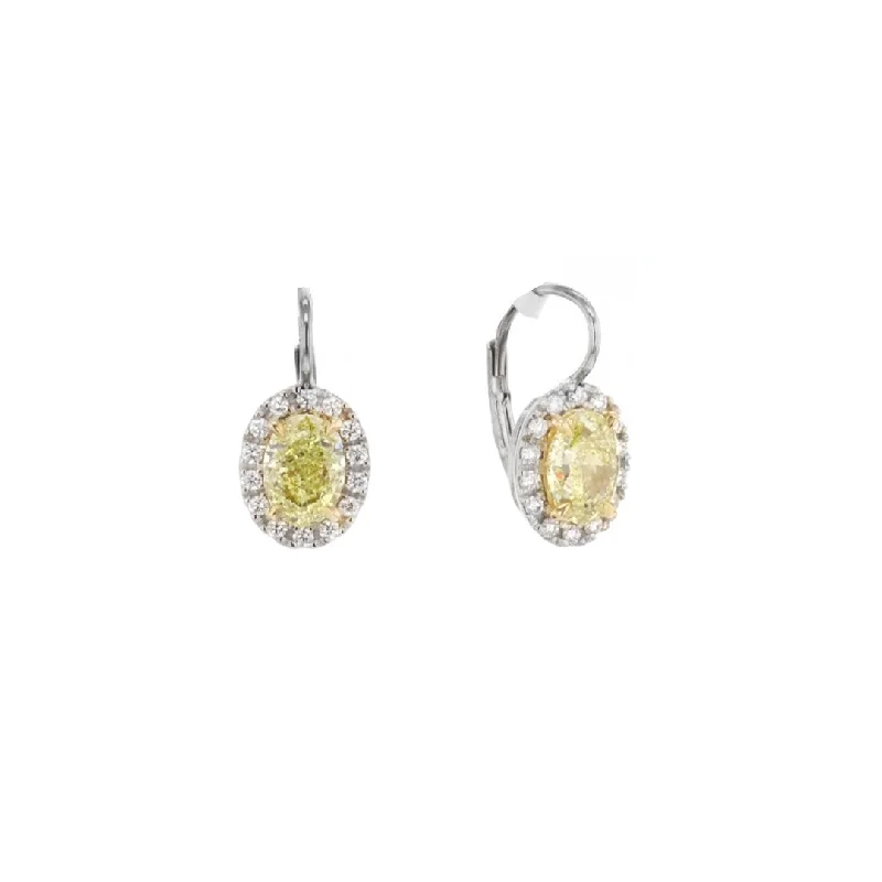 Women’s huggie earrings-Yellow Diamond Drop Earrings