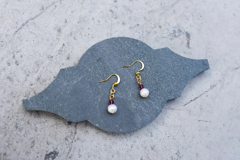 Women’s crystal drop earrings-February Birthstone Earrings